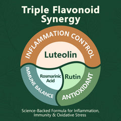 HyberVive Perilla leaf extract component visual emphasizes antioxidant support.