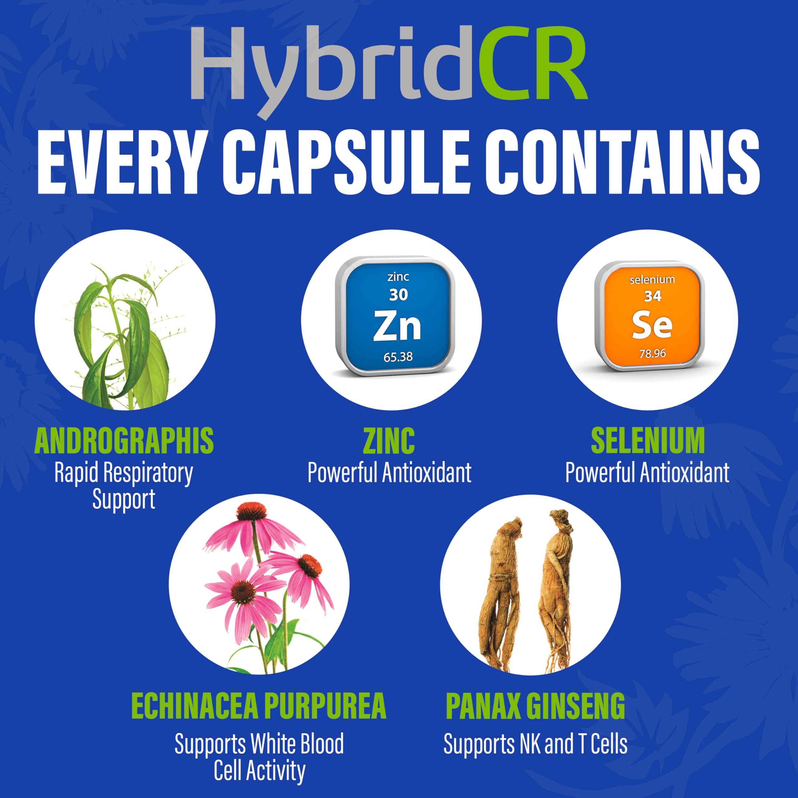 HybridCR capsules close-up ready for everyday immuno support.