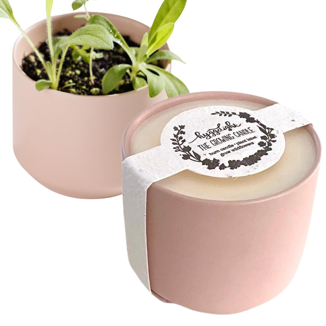 Hyggelight Adelyn wildflower seeds included for sustainable gifting