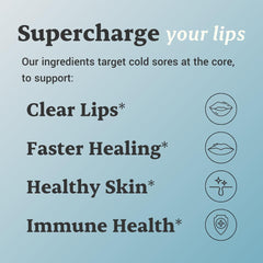 Ideal Wellness chaga mushrooms tin emphasizes antioxidant support for immune vitality.