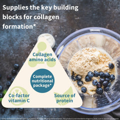 Igennus amino-acids-profile illustration highlights key collagen components