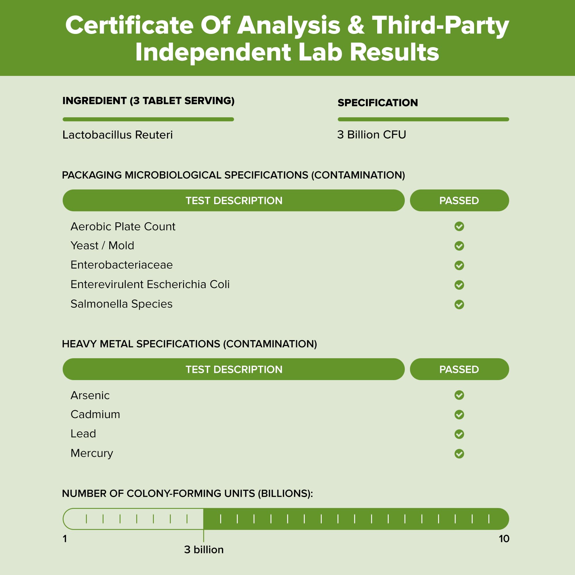 Natural Foundation Supplements Lactobacillus Reuteri Probiotic 3 Billion CFU - 240 Tablets | Gut & Digestive Support