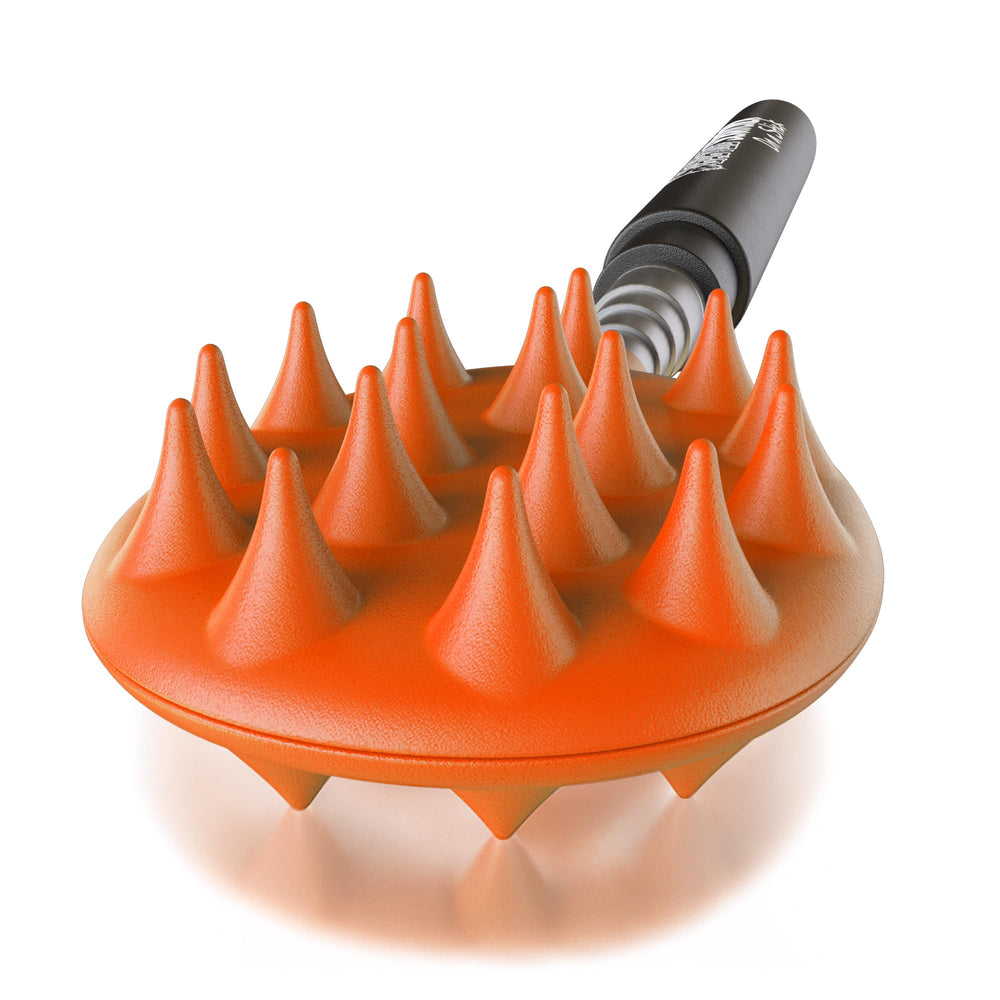 Cactus Scratcher travel-friendly design goes anywhere.
