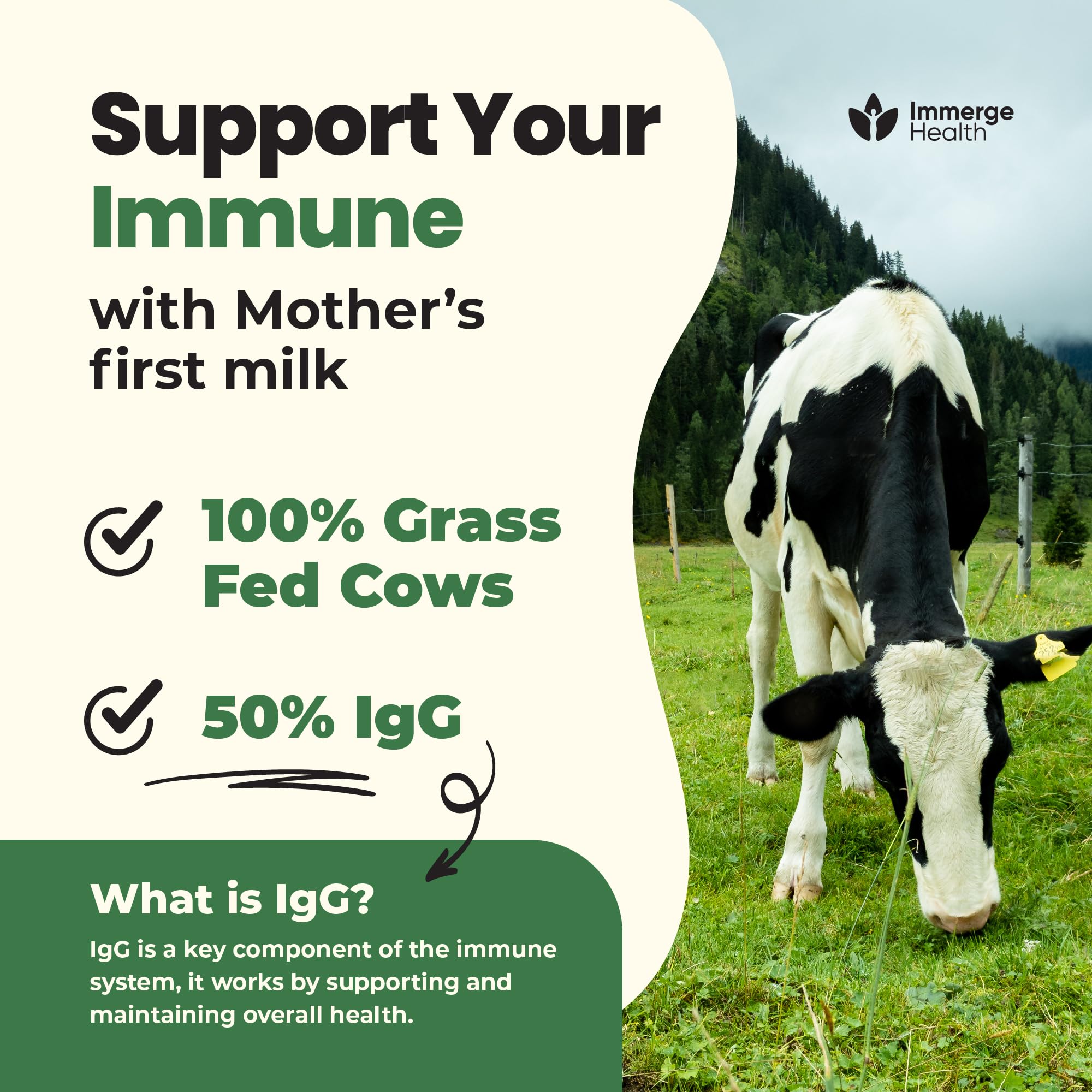 Immerge Health energy and focus concept image suggesting natural vitality and alertness.