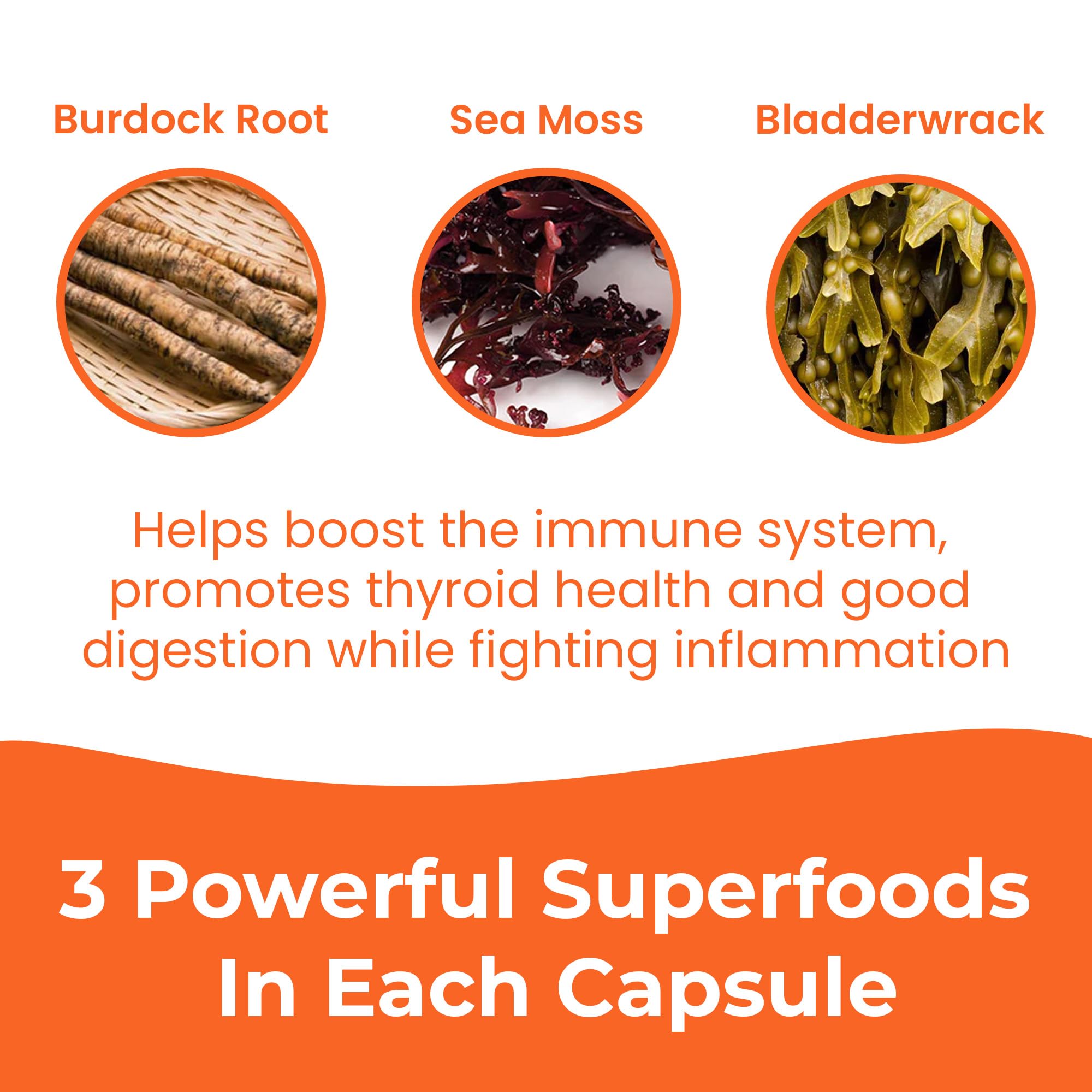 INFINITE AGE bladderwrack capsules image suggests iodine-rich formula for daily balance.