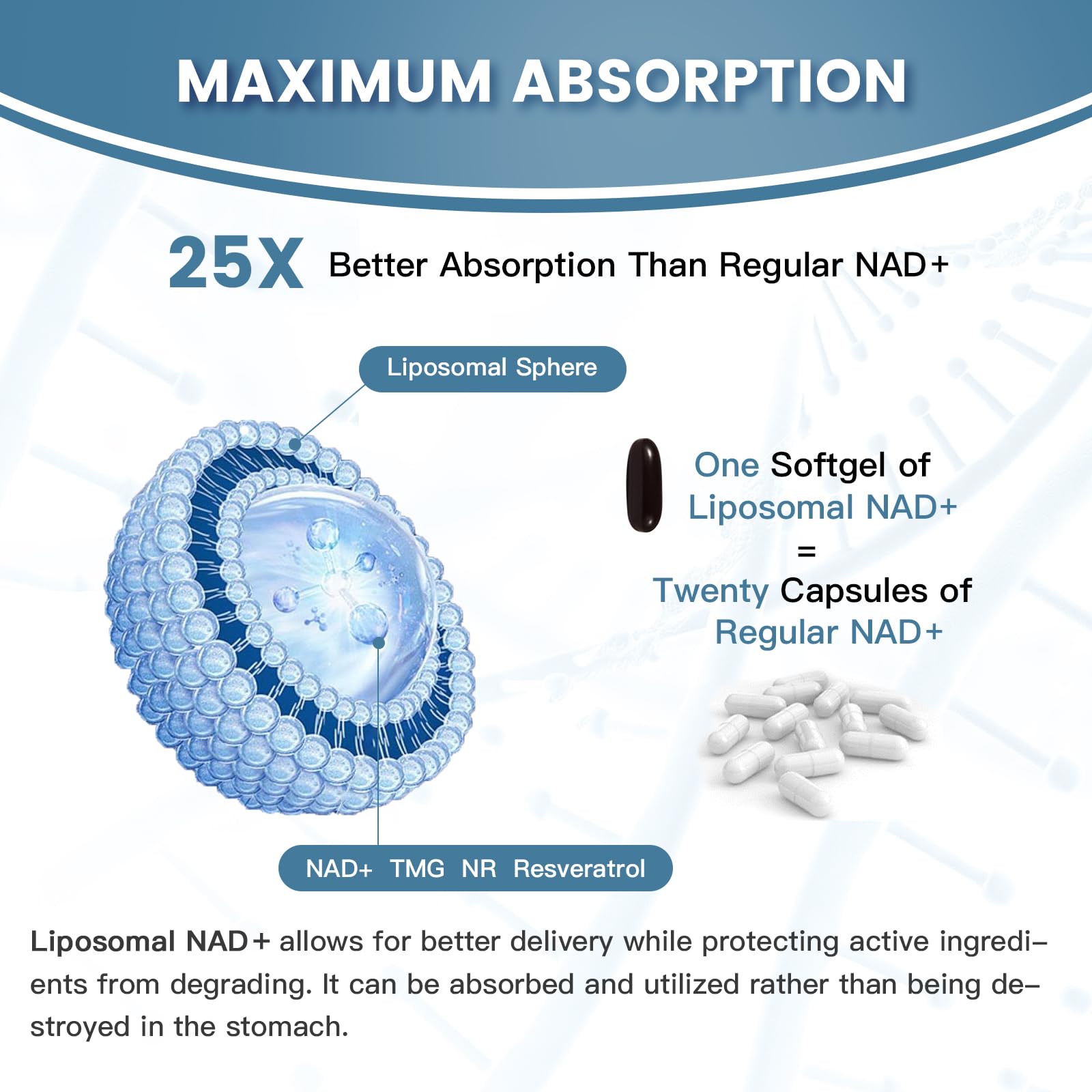 inGreens Liposomal NAD+ dosage guide on the bottle indicates daily intake