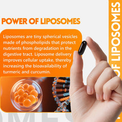 inGreens organic turmeric root image showcasing clean, plant-based ingredients