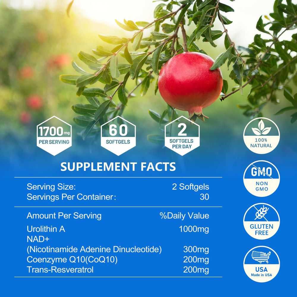 inGreens Urolithin A liposomal technology graphic for better absorption.