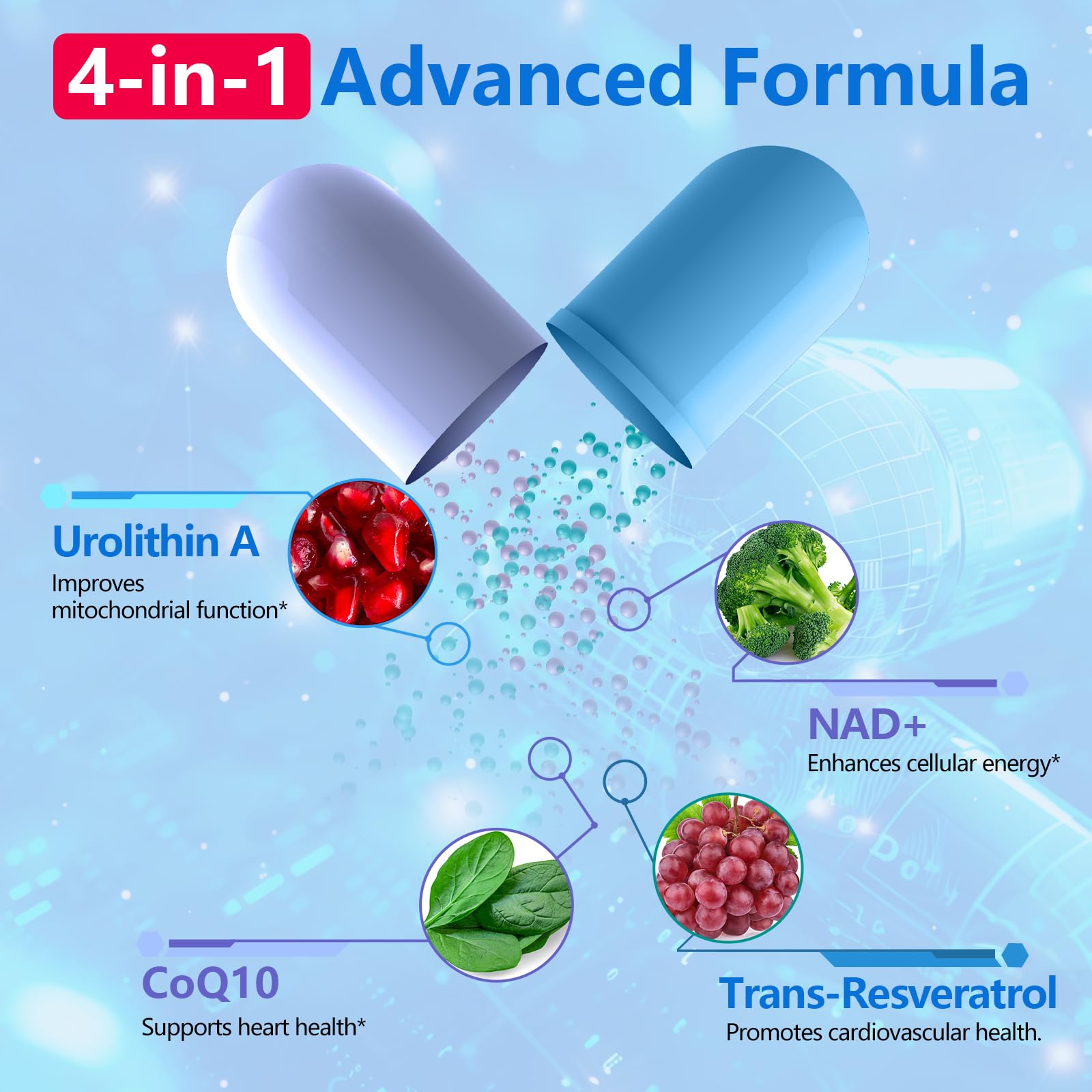 inGreens Urolithin A NAD icon signaling cellular energy support.