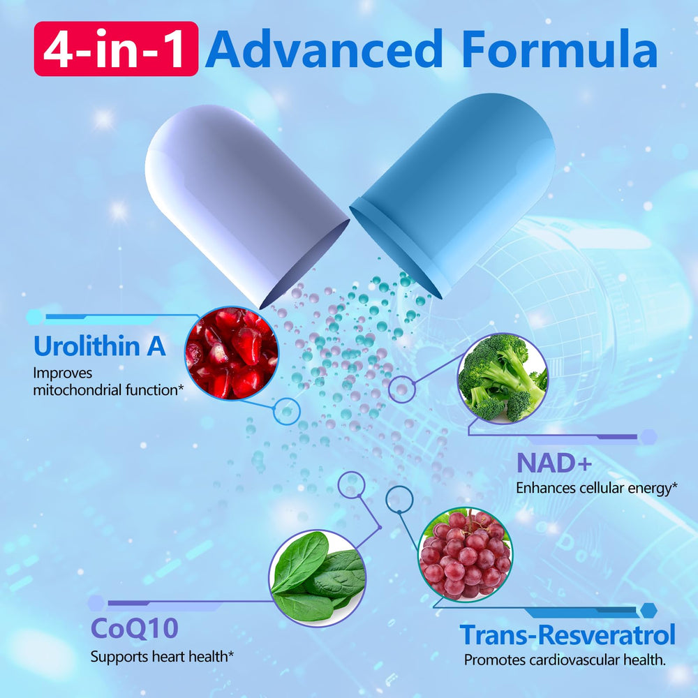 inGreens Urolithin A NAD icon signaling cellular energy support.