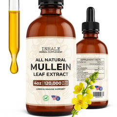 Inhale Mullein Drops bottle close-up highlighting tincture for lung support and mucus relief.