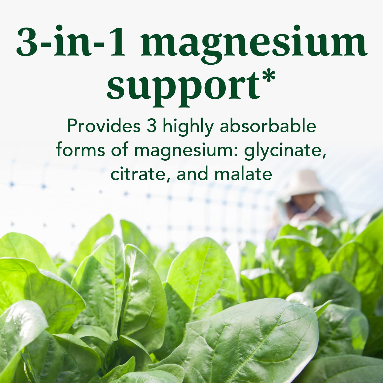 INNATE Response Formulas Magnesium capsules ready to take any time with food.