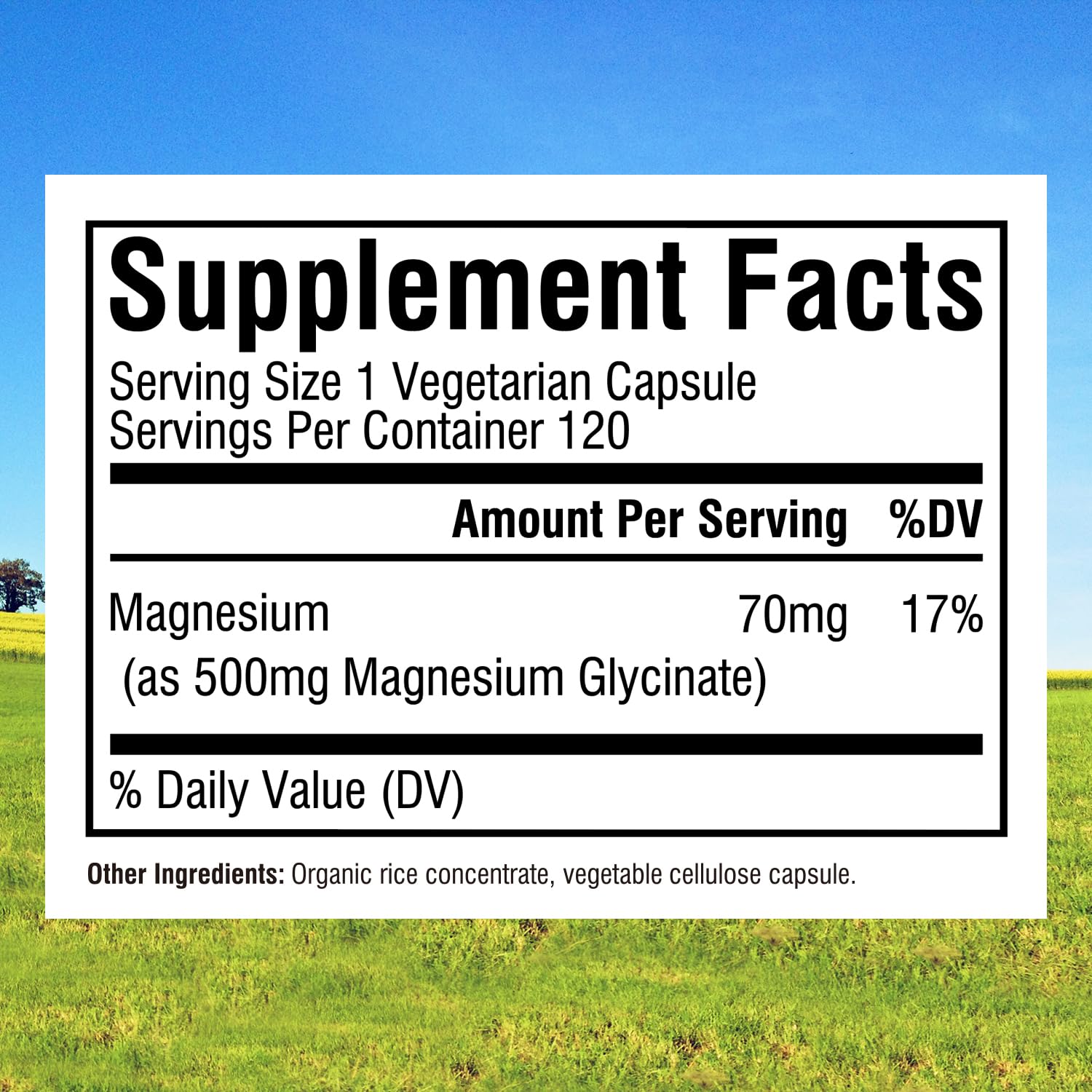 Innate Vitality Magnesium Glycinate 500mg capsule close-up showing chelated form for absorption.