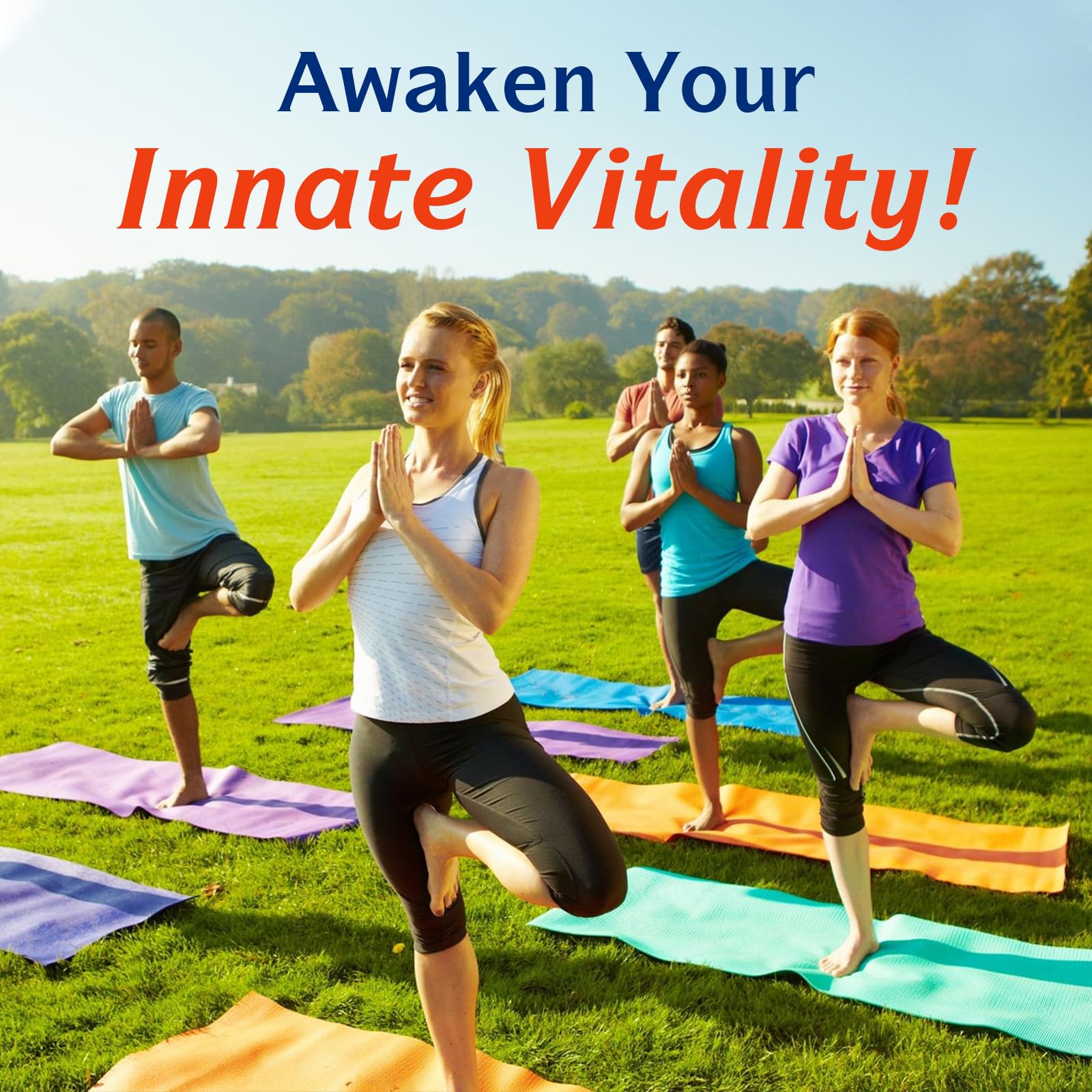 Innate Vitality Probiotics 30 vegan capsules ready for daily use