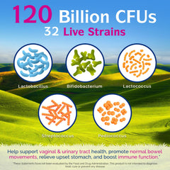 Innate Vitality probiotics label front highlighting 32 strains and 120B CFU.