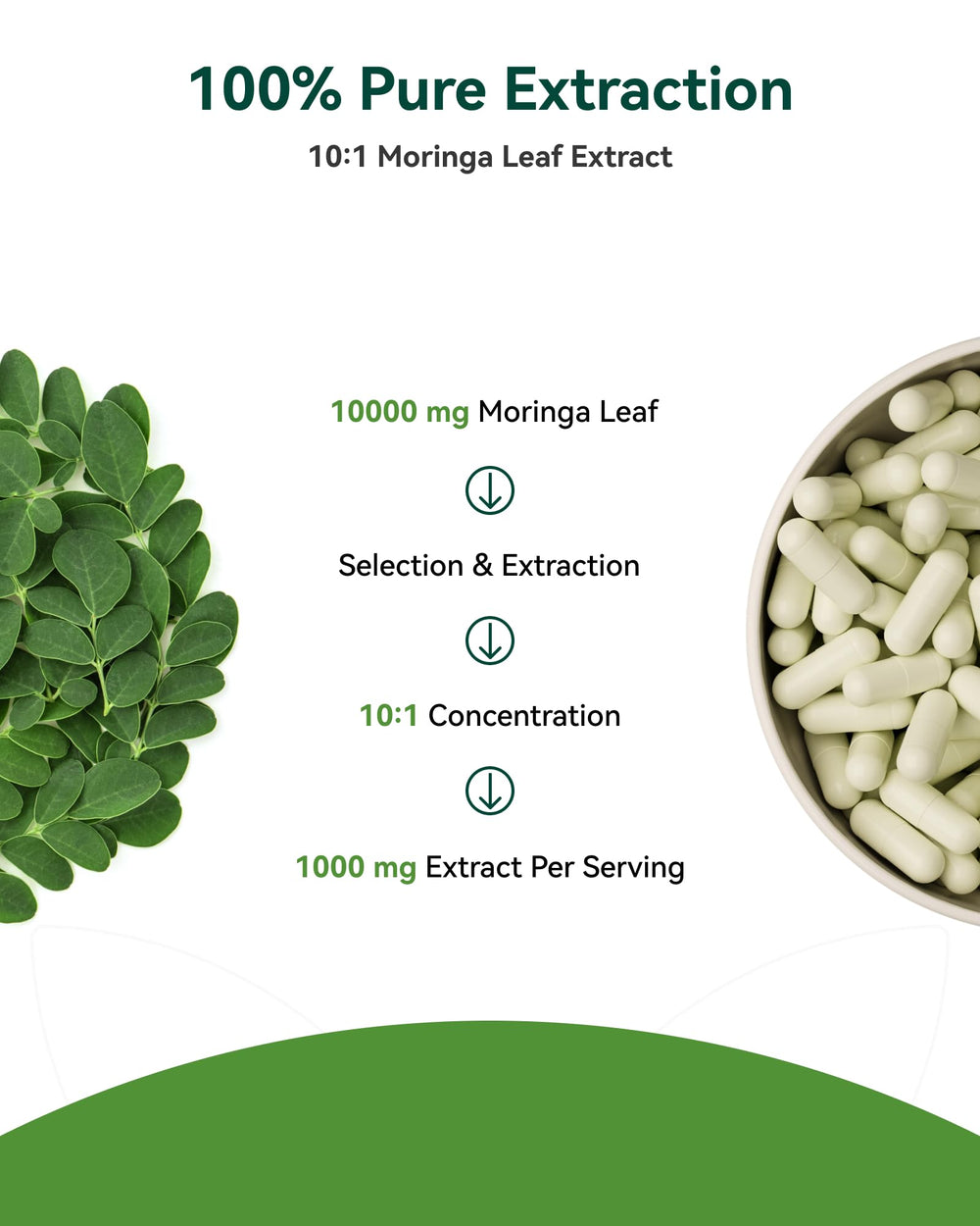 Inner Brightness moringa supports natural energy and gut wellness.