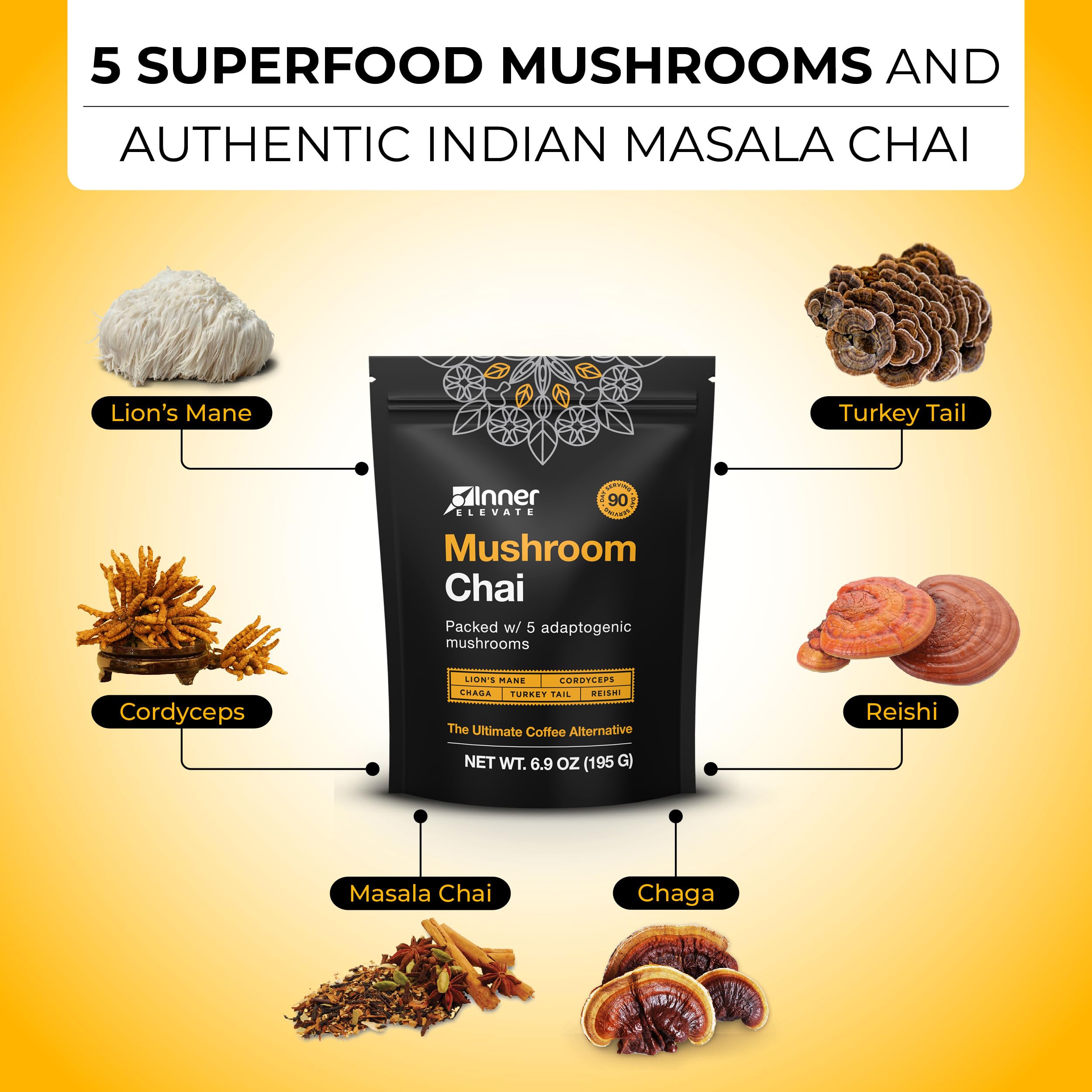 Five-mushroom blend closeup featuring Lion's Mane and Cordyceps for focus