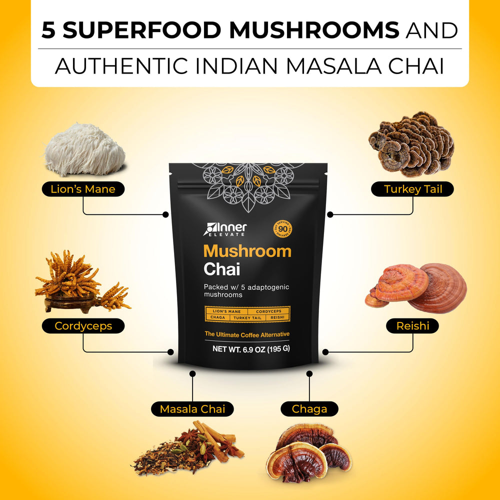 Five-mushroom blend closeup featuring Lion's Mane and Cordyceps for focus
