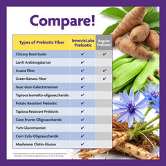 InnovixLabs Prebiotic Fiber Powder ingredients bowl highlights diverse fibers.