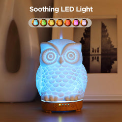 Inrorans Owl Diffuser LED night light adds warm ambience for bedrooms