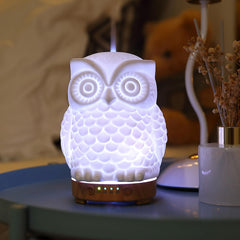 Inrorans Owl Ceramic Diffuser porcelain design for gentle humidification in living spaces