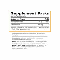 Berberine capsules closeup from Integrative Therapeutics for easy daily use.