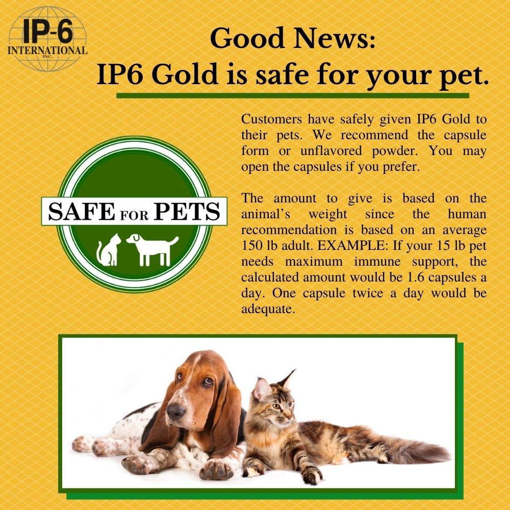 IP6 Gold rice bran origin graphic highlights natural sourcing.