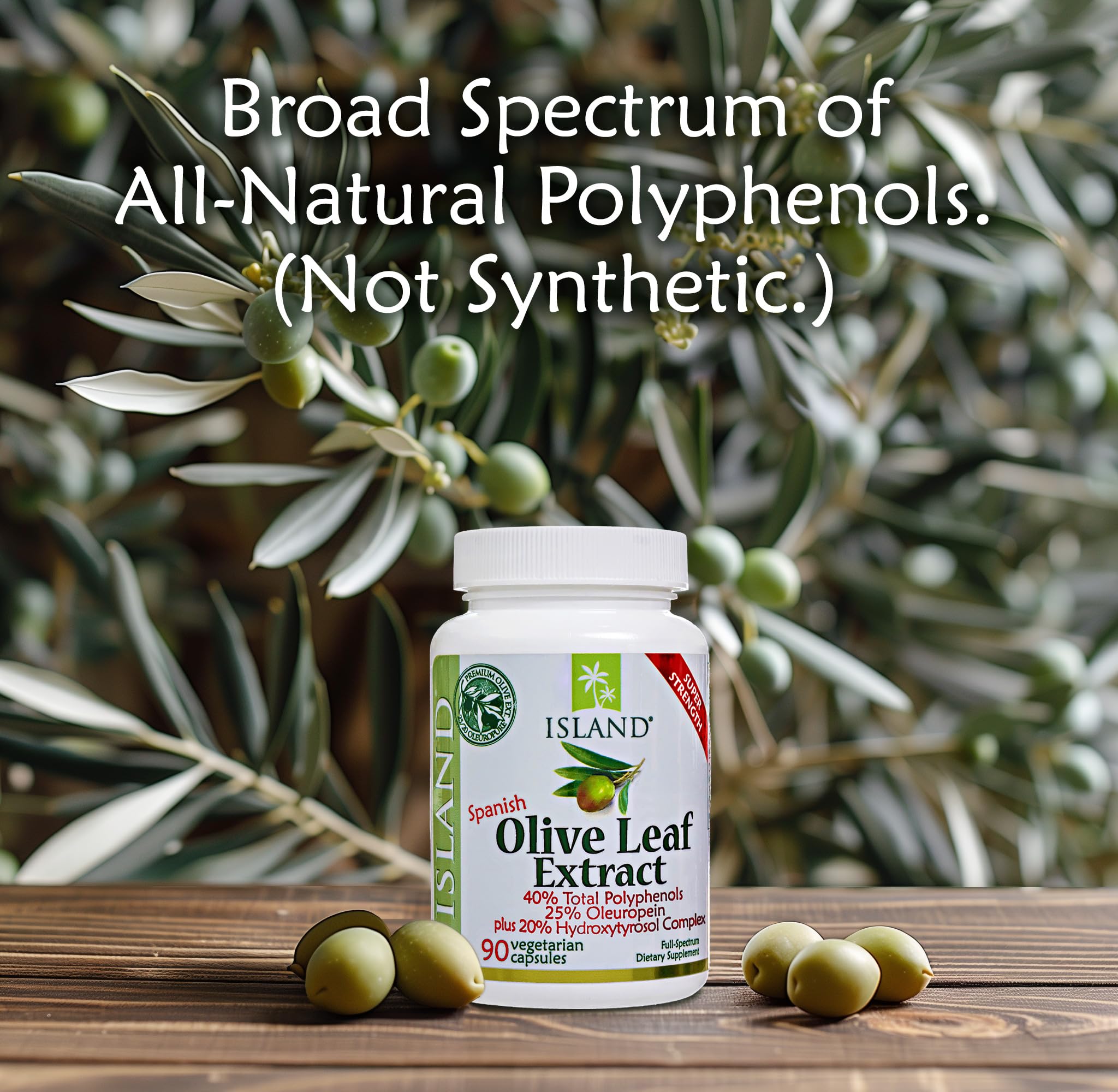Island Nutrition olive trees and leaves in a field, source of Olea europaea polyphenols