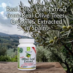 Island Nutrition Spanish family farms harvest scene for authentic Mediterranean polyphenols