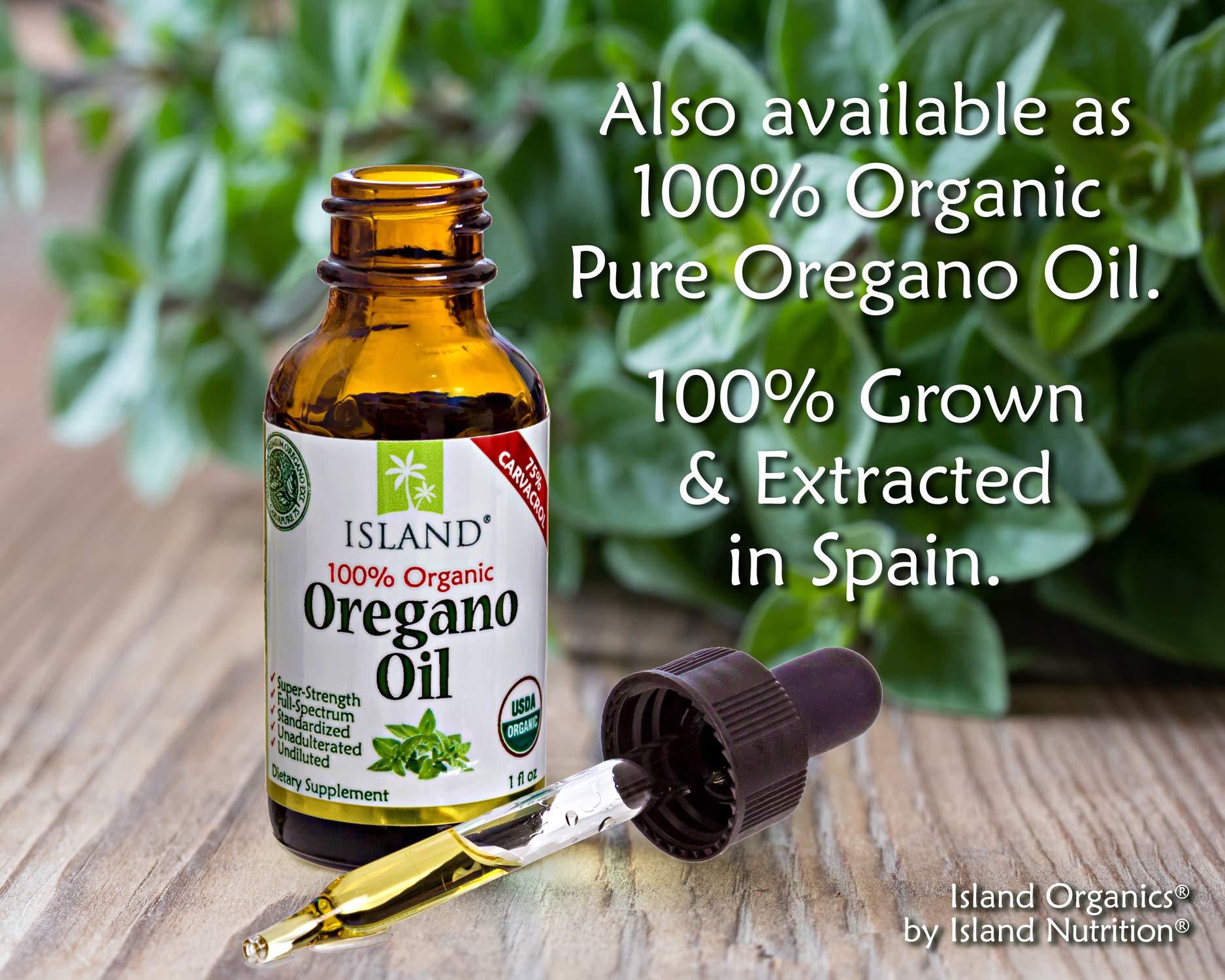Island Nutrition oregano oil capsules phospholipid delivery shown for better absorption
