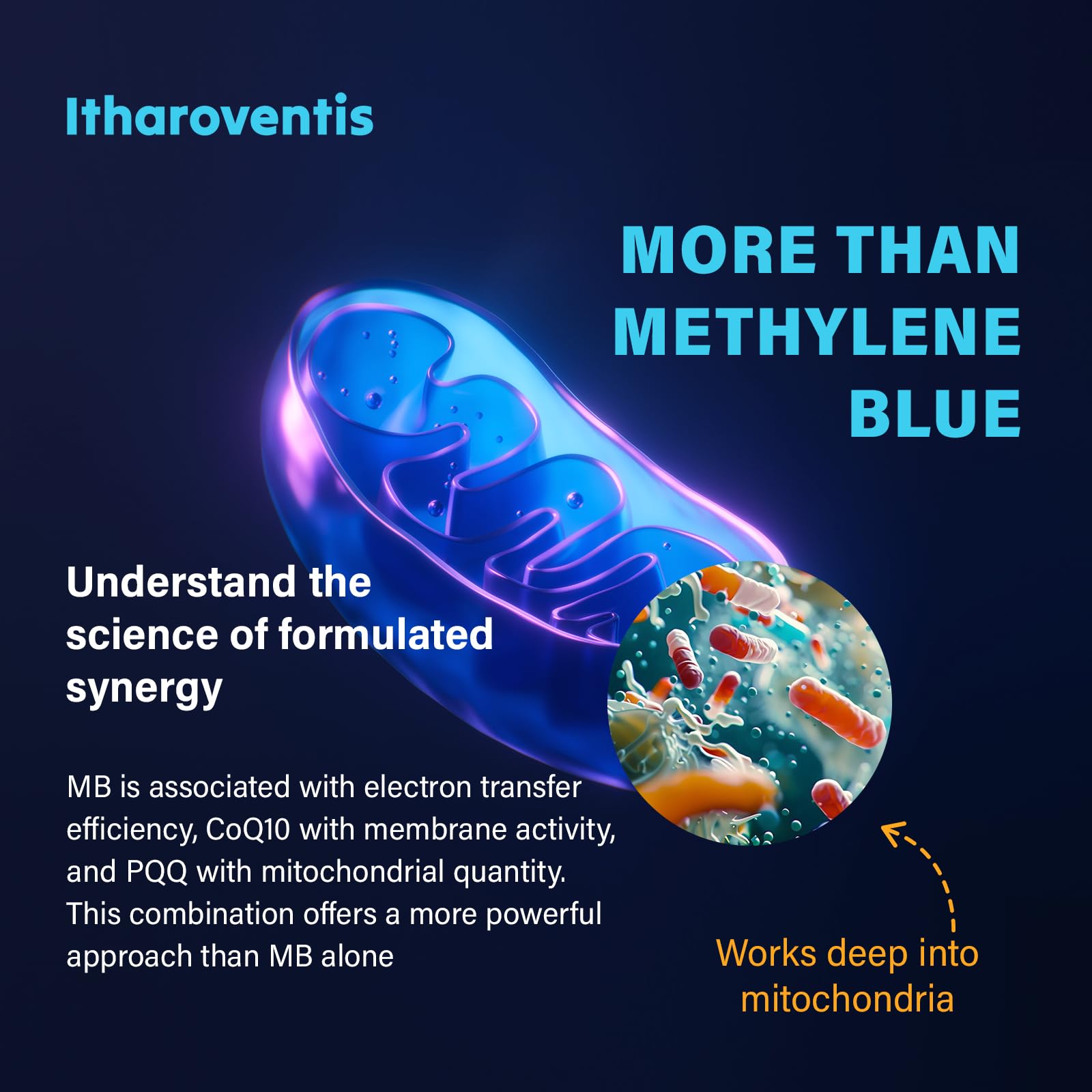 Itharoventis CoQ10 and PQQ visual illustrating mitochondrial synergy