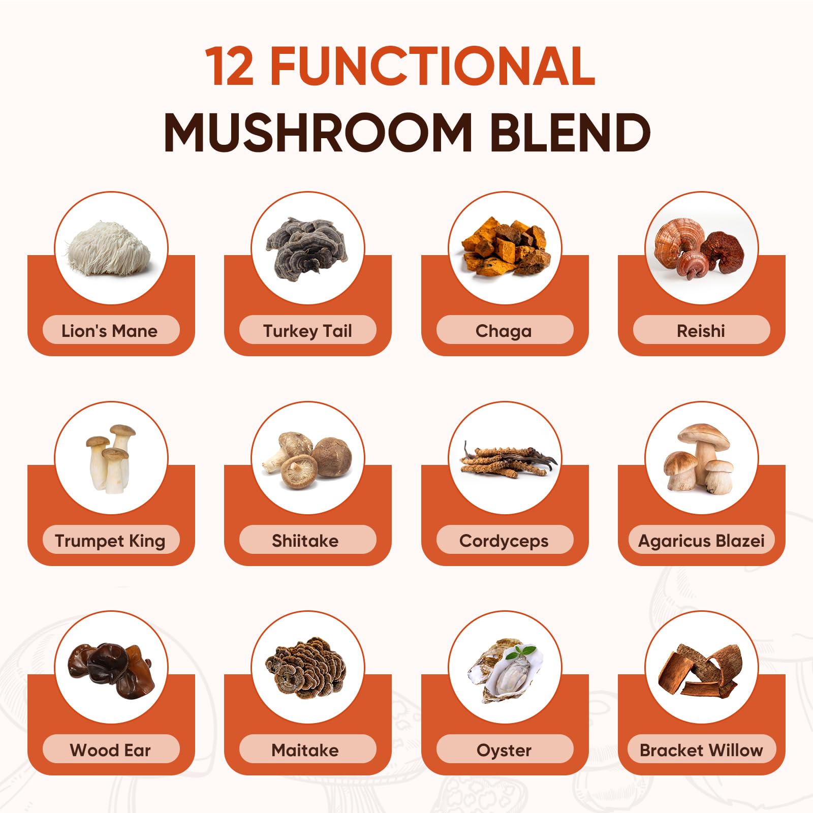 Itiban Mushroom Coffee with probiotics for digestive balance during your morning ritual.