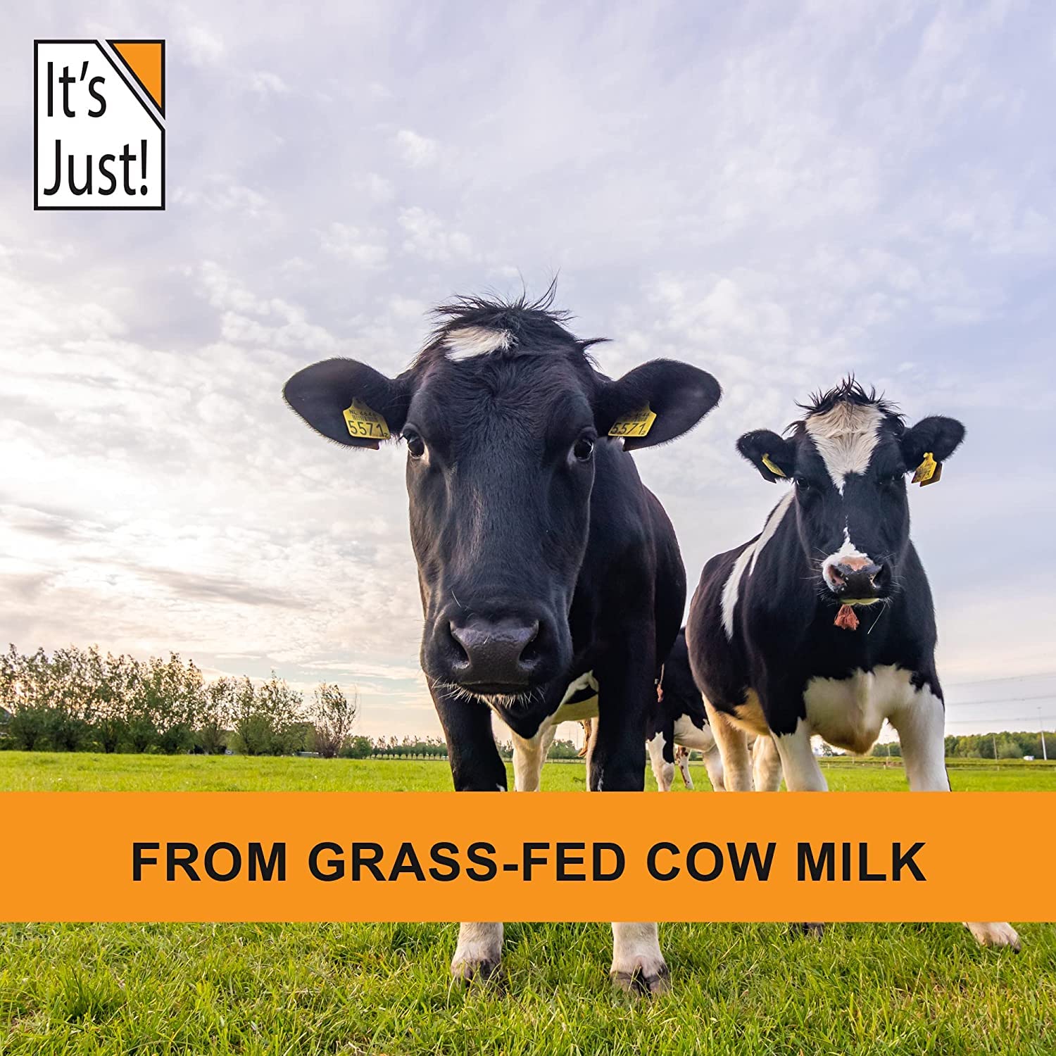 Its Just! grass-fed cows pasture image emphasizing natural sourcing.