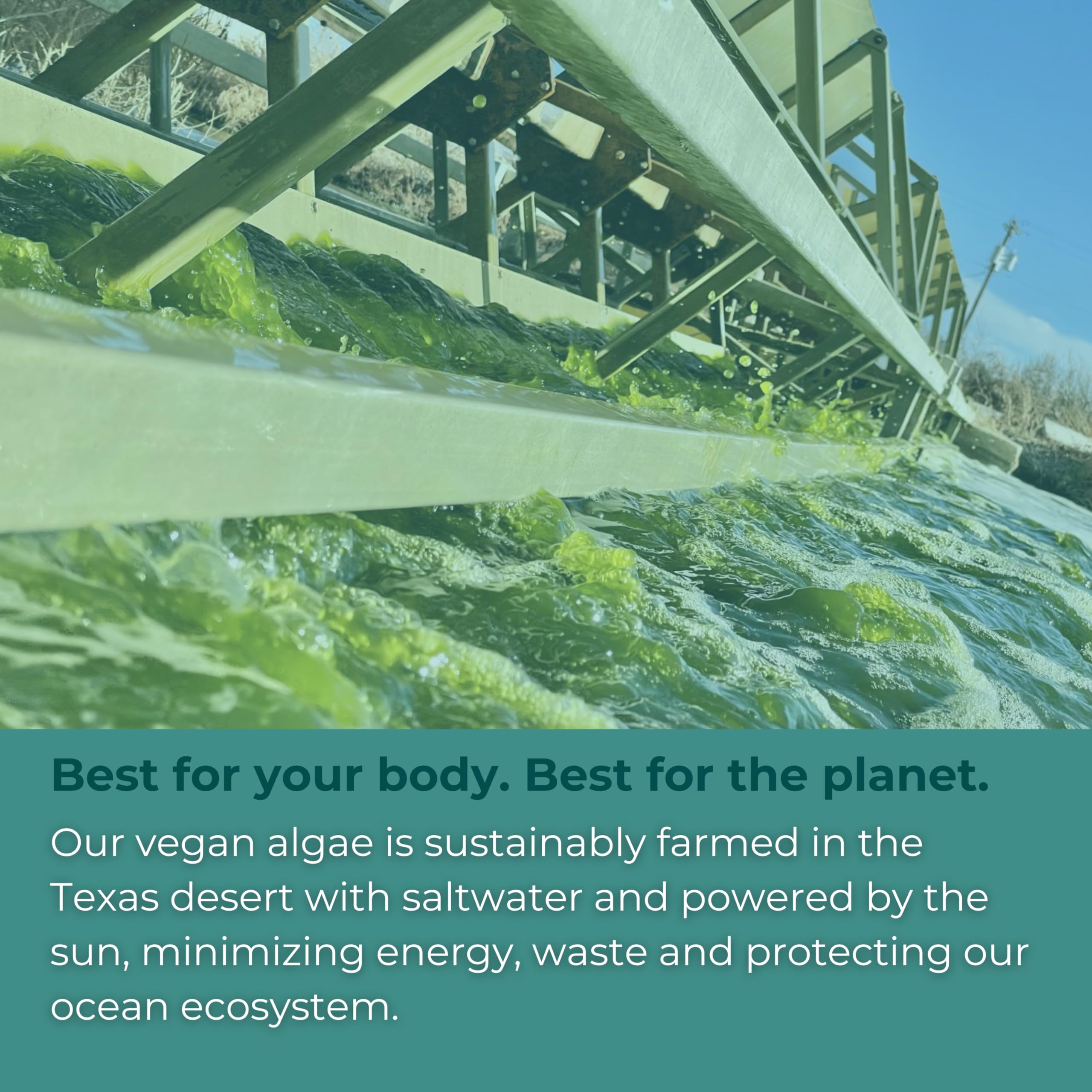 Iwi Omega-3 mini softgels algae source highlight sustainable plant-based omega-3