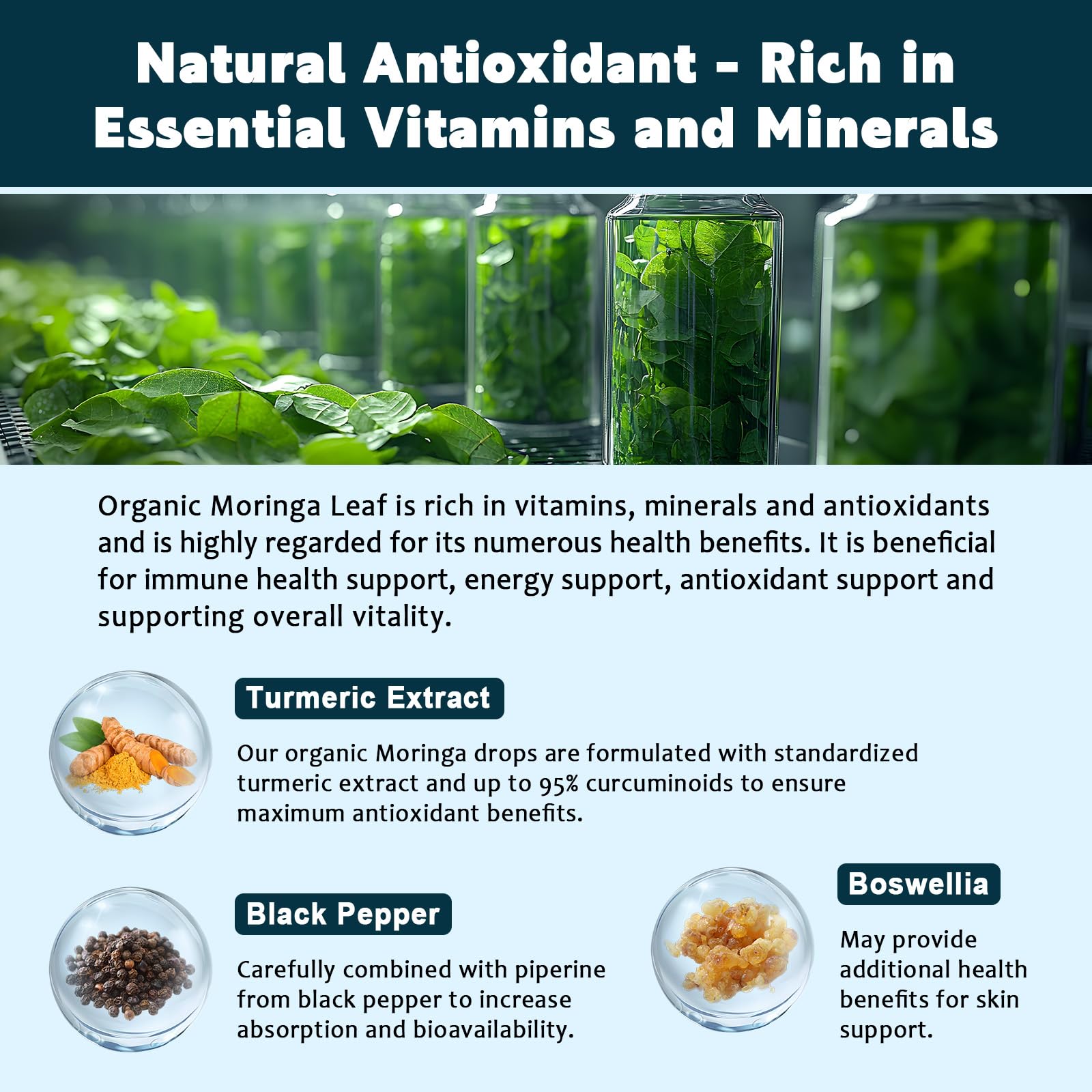 JIANKYTZ Immune-support formula highlights supporting daily wellness.