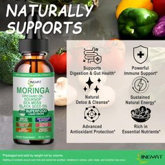 JINGYAT Moringa Complex Drops amber liquid close-up emphasizes natural botanicals.
