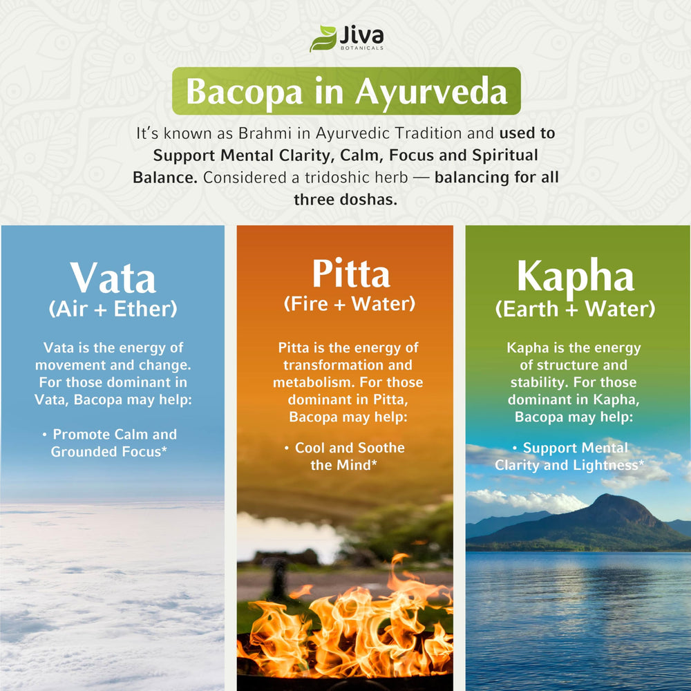 Jiva Botanicals Bacopa produced in USA facility scene