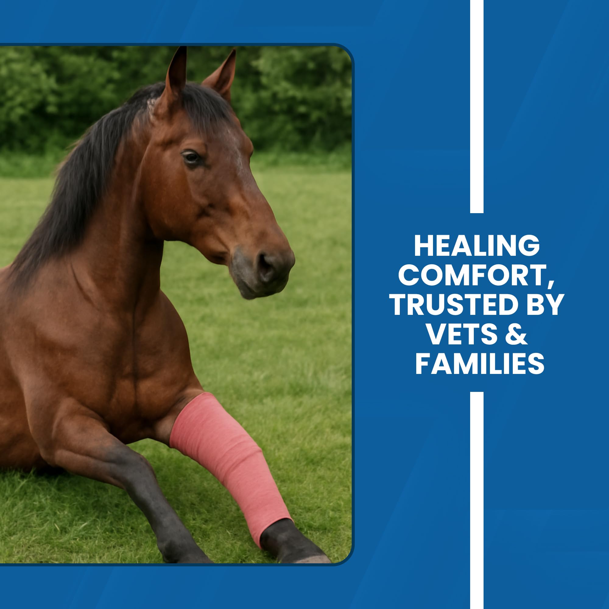 JorVet cling gauze suitable for pet wound care and post-op wraps