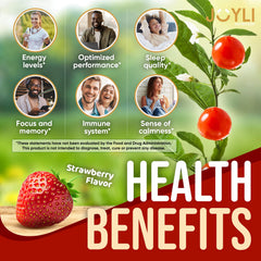 JOYLI Ashwagandha Gummies bottle back highlighting ingredients