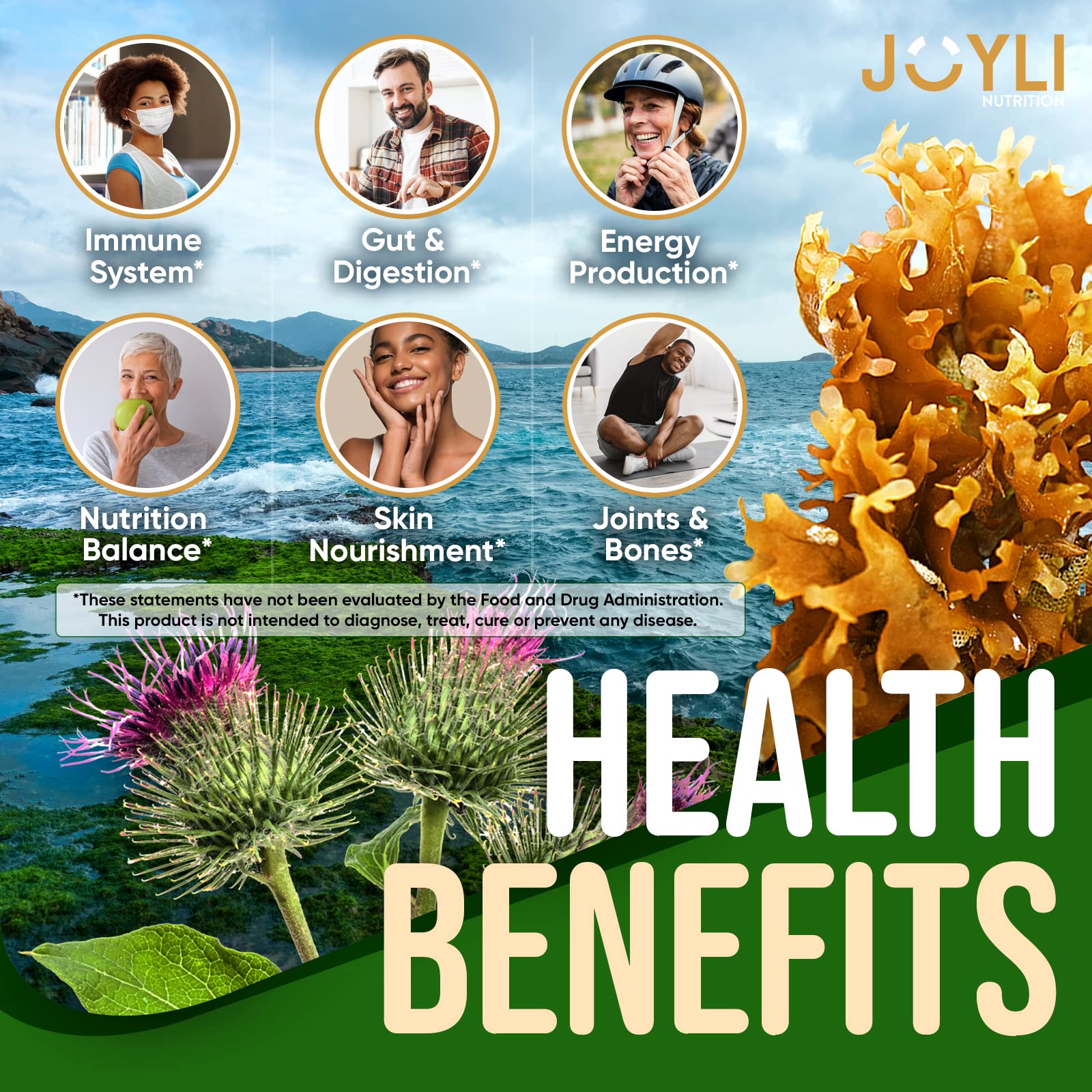 JOYLI Nutrition Sea Moss Gummies bottle close-up shows texture and color for easy consumption