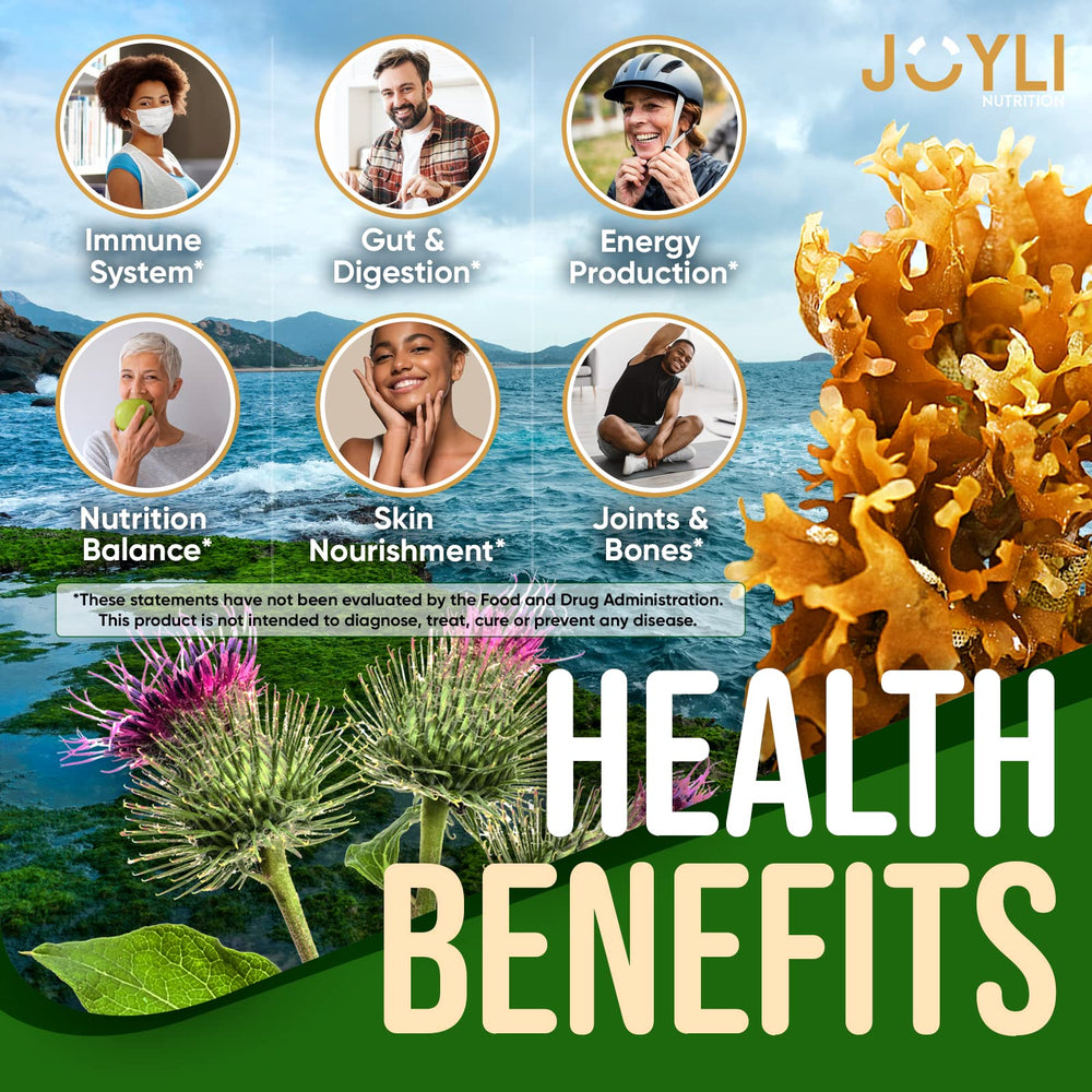 JOYLI Nutrition Sea Moss Gummies bottle close-up shows texture and color for easy consumption