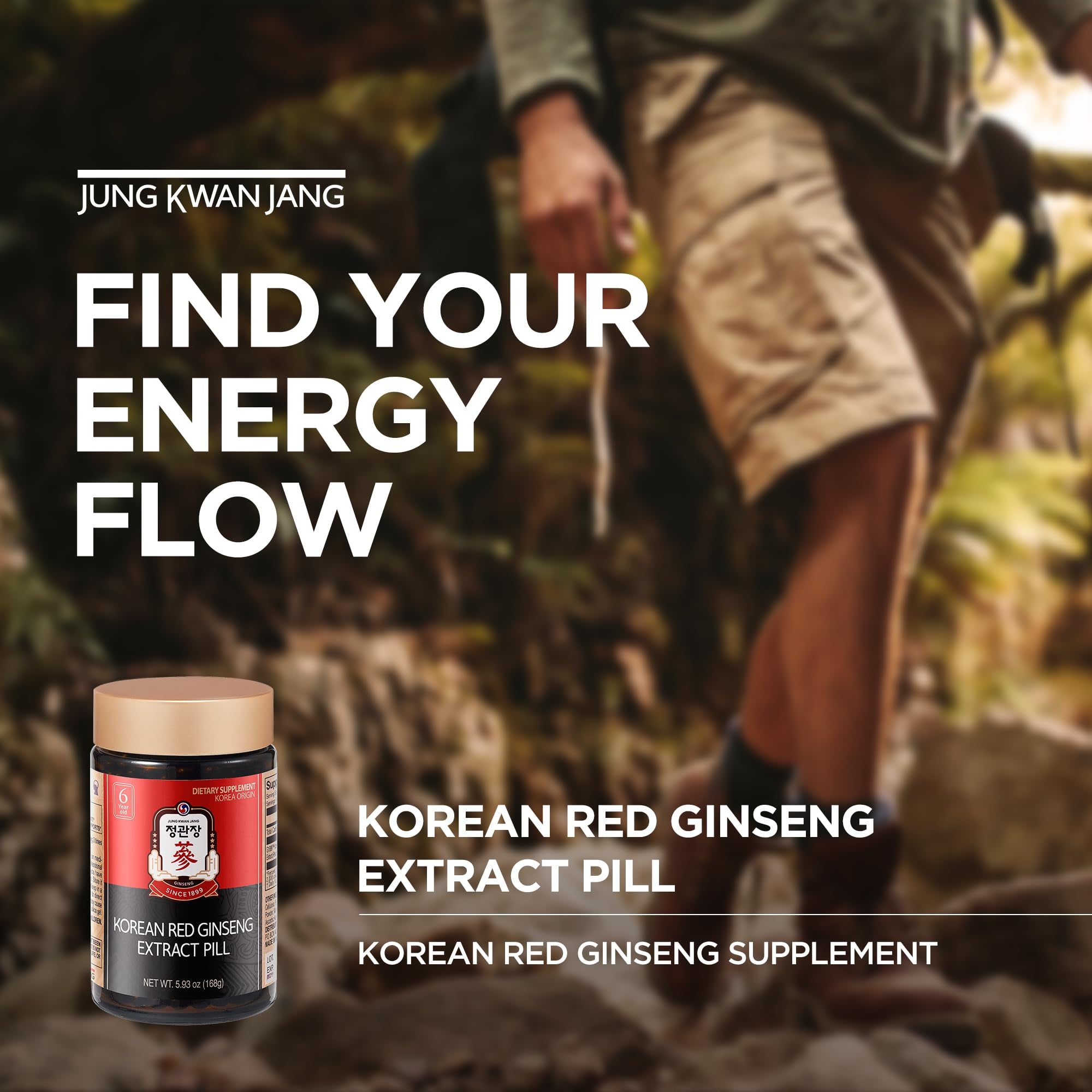 Close-up of Jung Kwan Jang ginseng pills for stamina.