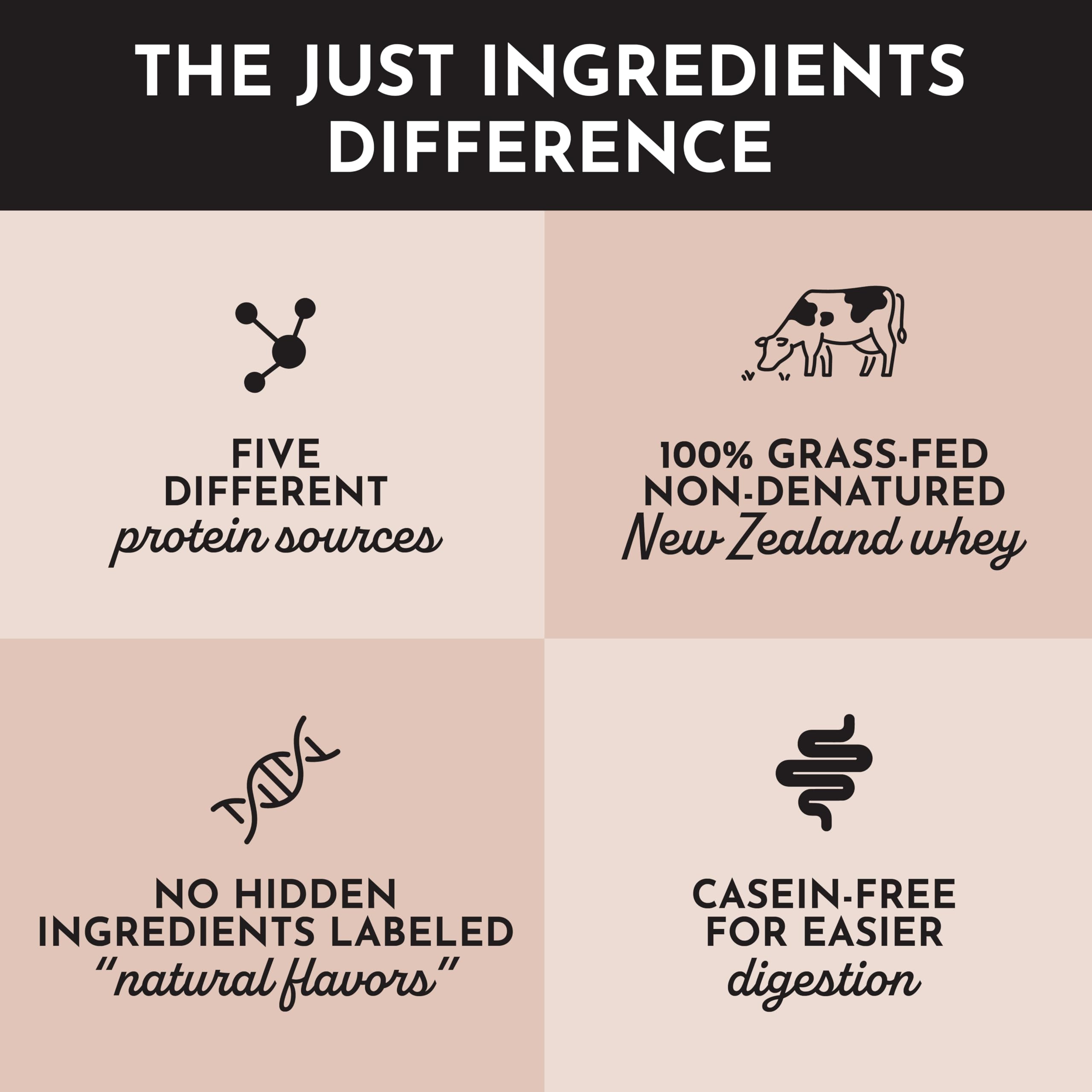 Just Ingredients chocolate protein powder stored in tidy pantry