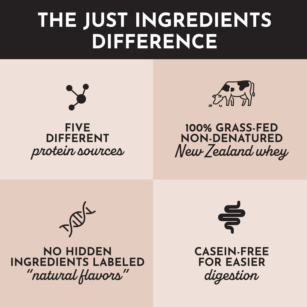 Just Ingredients chocolate protein powder stored in tidy pantry
