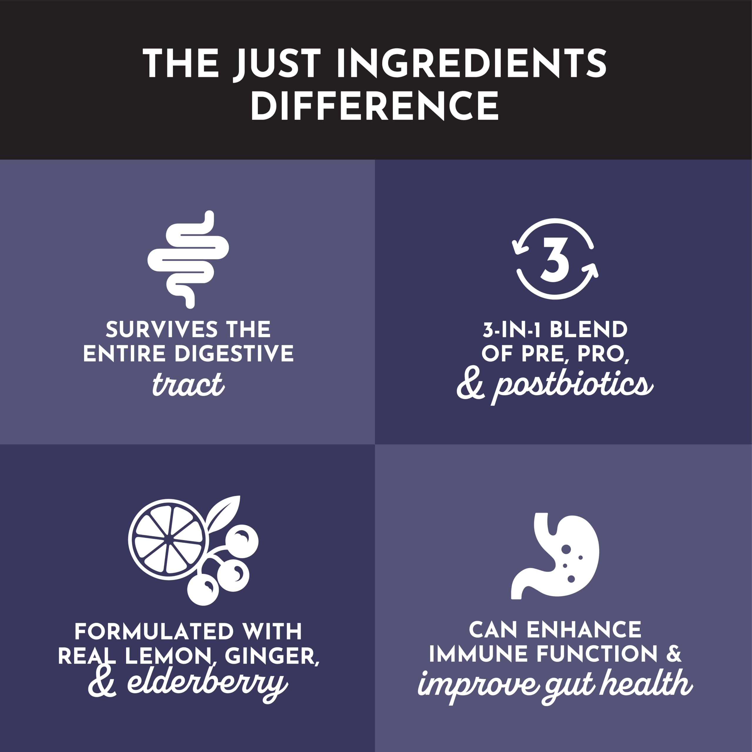 Just Ingredients Elderberry Lemonade glass ready to enjoy with bright natural flavor