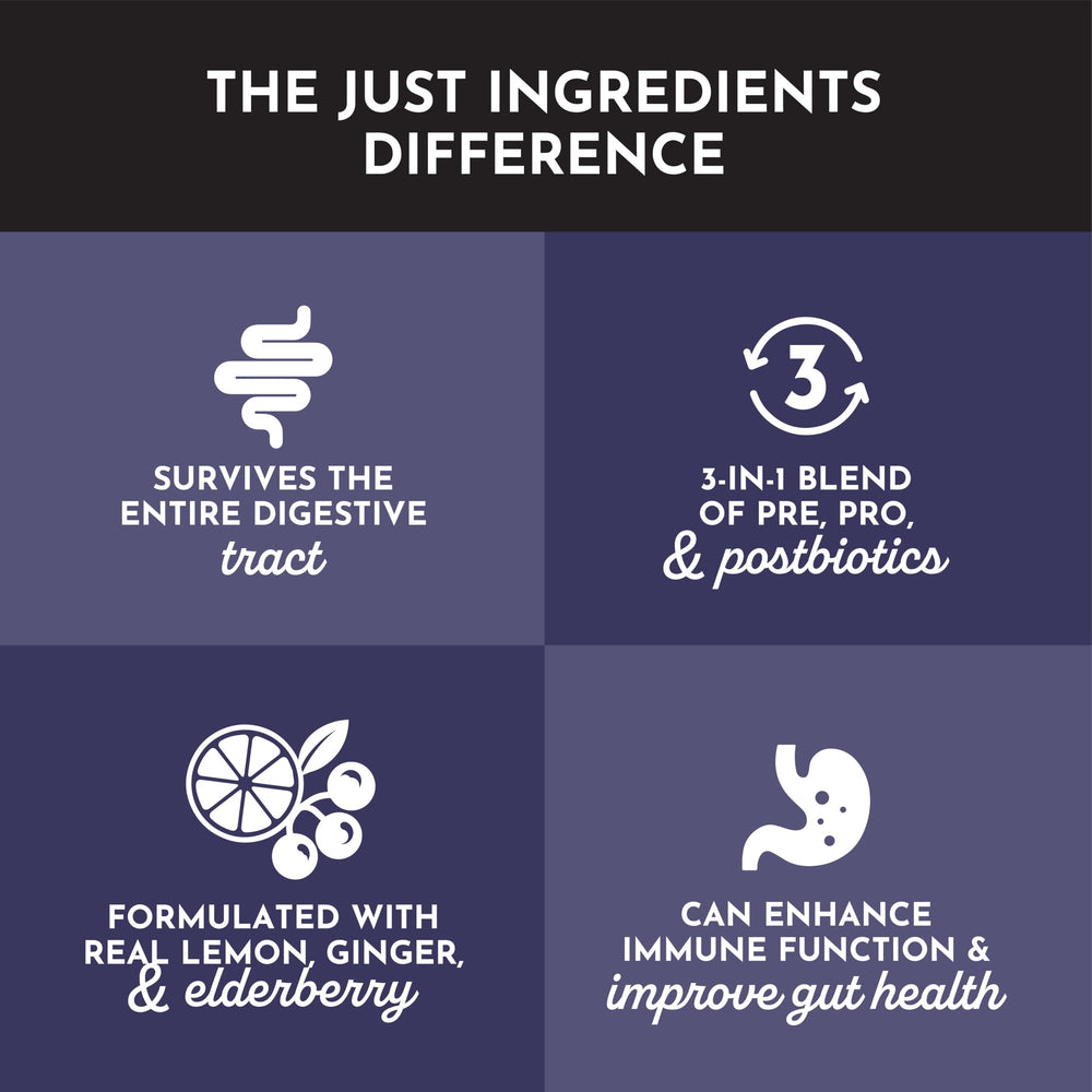 Just Ingredients Elderberry Lemonade glass ready to enjoy with bright natural flavor