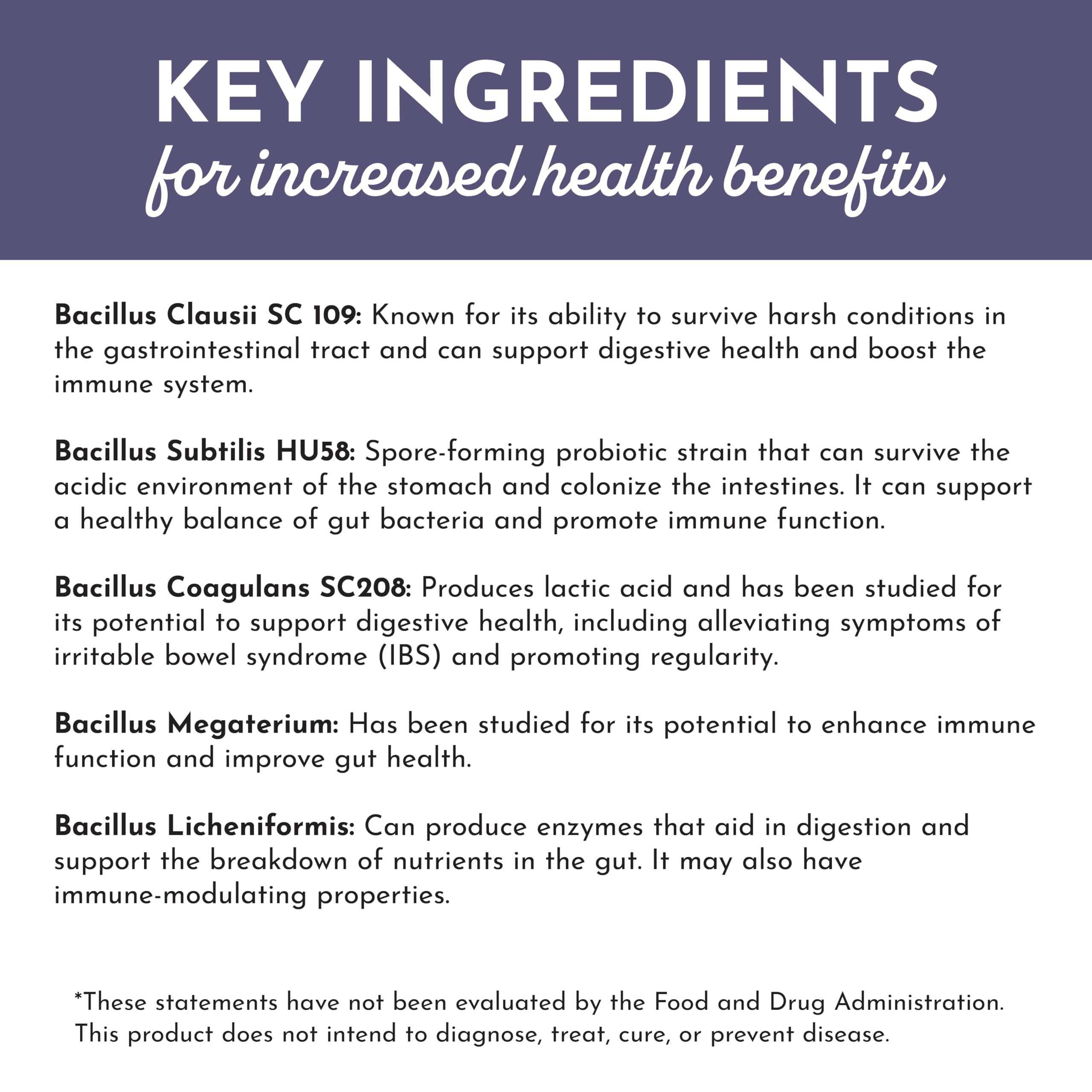 Just Ingredients Elderberry Lemonade ingredients label highlighting organic vegan formula