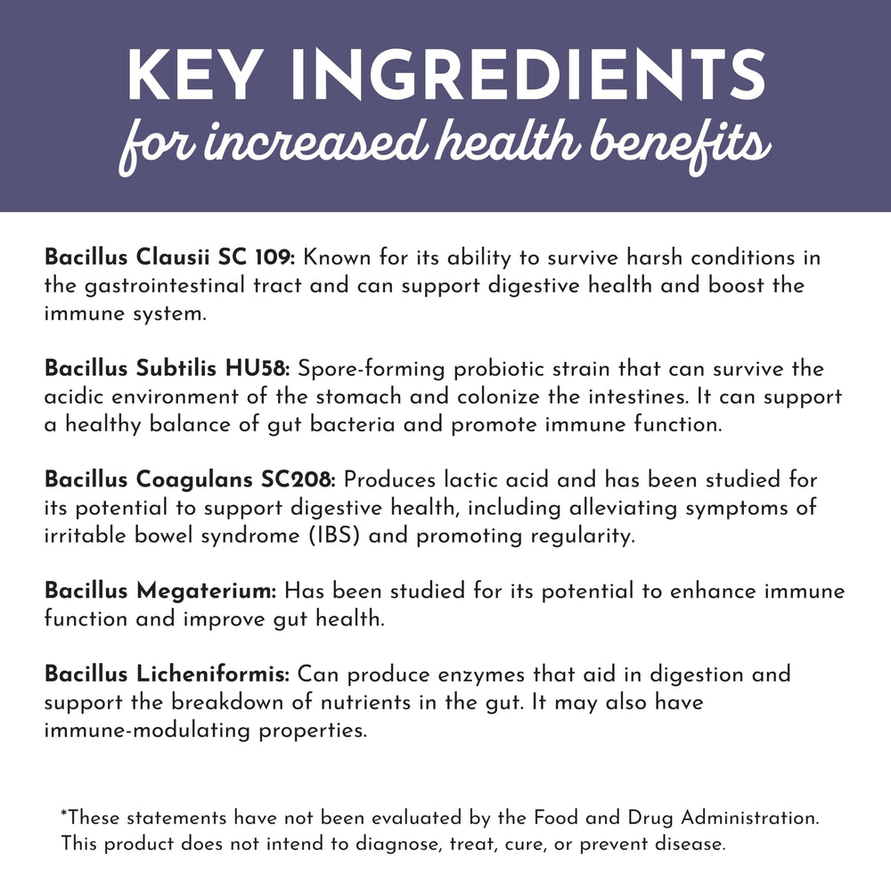 Just Ingredients Elderberry Lemonade ingredients label highlighting organic vegan formula