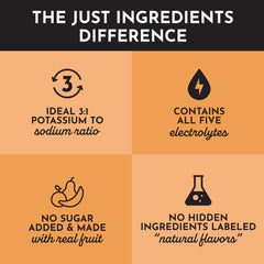 JUST INGREDIENTS Sea Salt crystal close-up signals mineral balance for activity