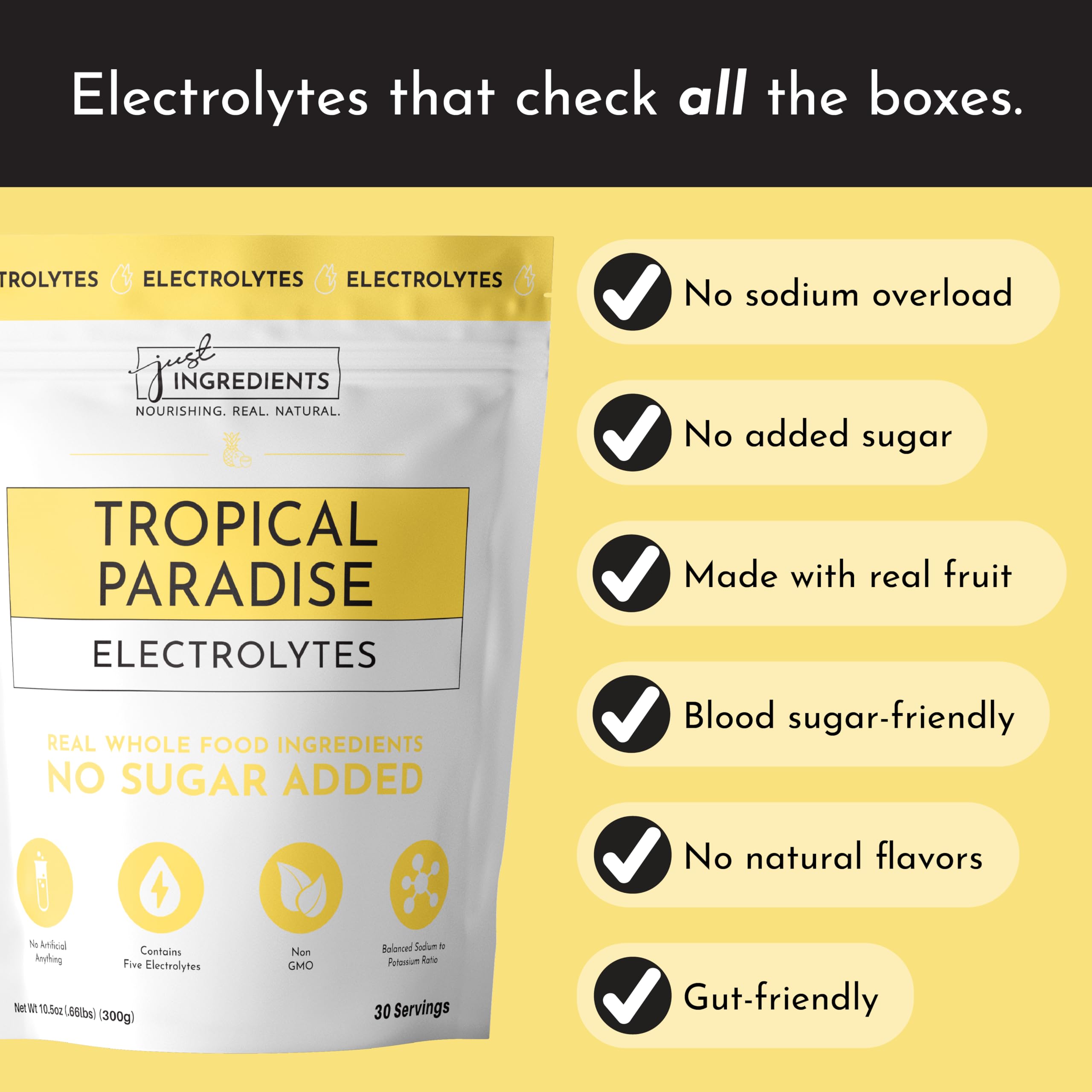 Just Ingredients sea salt and minerals matrix highlighting electrolyte balance.